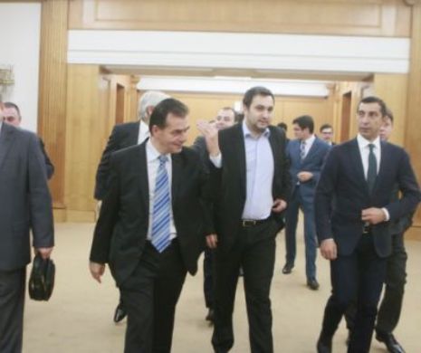 PNL a sesizat CCR privind o ordonanţa de urgenţă care prevede stabilirea unor măsuri de reorganizare la nivelul administraţiei publice
