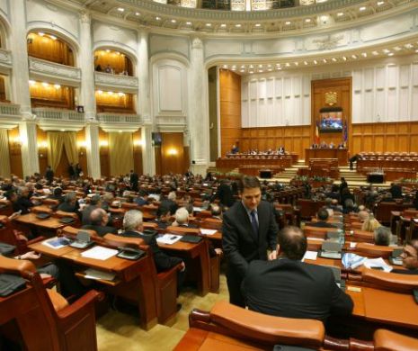 PNL mai depune o moțiune simplă. De data aceasta, pe tema alocațiilor pentru copii