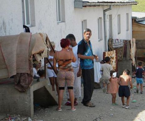 Poliţia Română, în căutarea unui ONG