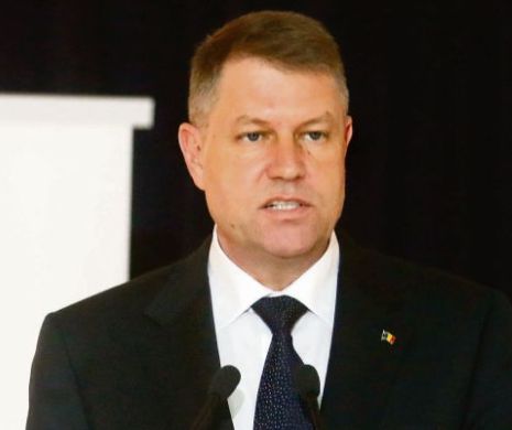 Președintele Iohannis a primit de la CSM documentele referitoare la Horodniceanu