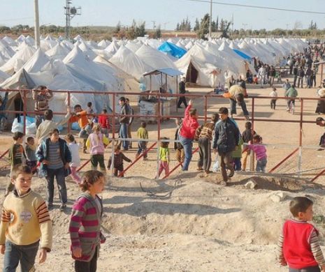 România ar putea fi OBLIGATĂ să primească 1705 solicitanți de azil și 682 de REFUGIAȚI