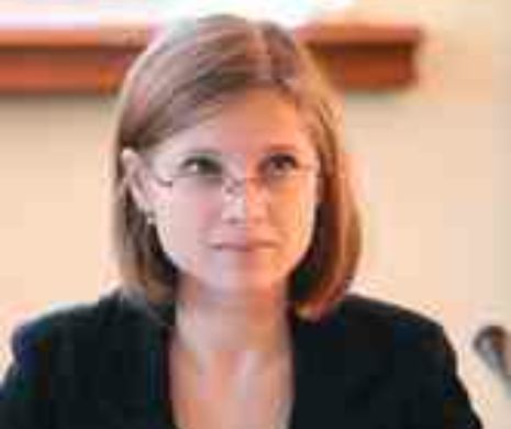 TRAFIC DE INFLUENȚĂ LA CNA. Baronul de Suceava, intervenții la Monica Gubernat