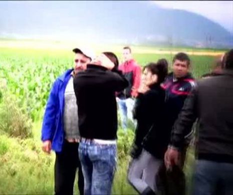 Când au ajuns la fața locului, și-au pus mâinile în cap. Accident teribil petrecut în România