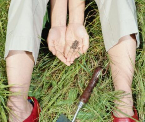 Excelente proprietăți: Semințele care TE FAC BINE