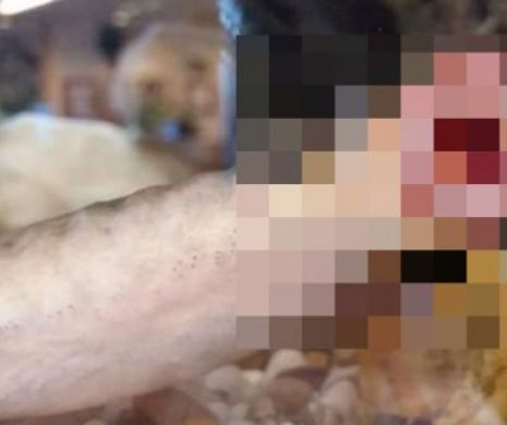 FENOMEN ÎNGROZITOR. Mii de peşti SÂNGEROŞI cad pur şi simplu peste OAMENI I Imagini ÎNFIORĂTOARE