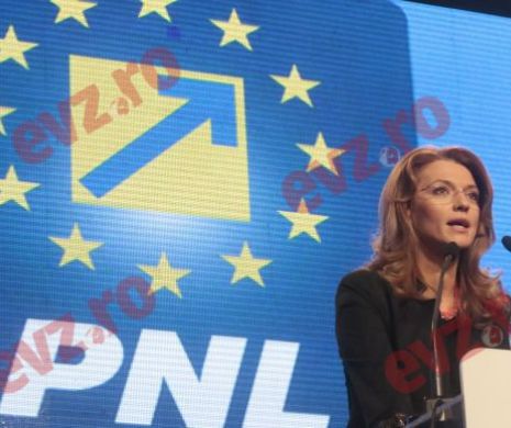 Gorghiu: Nu am nicio calitate în dosarul Registrului Comerţului alta decât aceea de martor