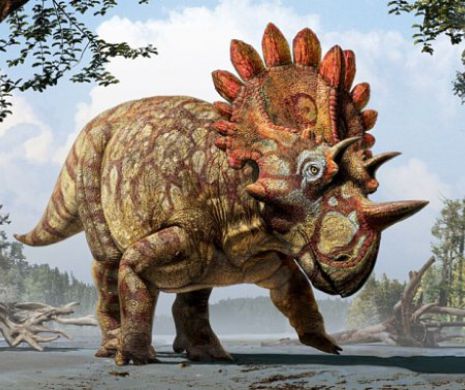 Hellboy - o specie uluitoare de dinozaur cu coarne - a fost descoperit în Canada