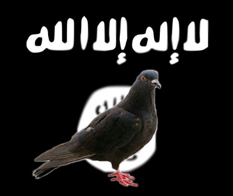 ISIS interzice creșterea PORUMBEILOR, pentru că INSULTĂ Islamul