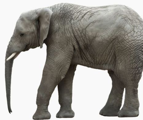 Istoria OMENIRII se schimbă pe un drum COMUNAL din VASLUI