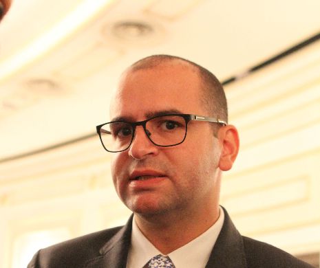 Procedura de selecţie a urmaşului lui Horia Georgescu la şefia ANI, declanşată. Depunerea candidaturilor - până la 22 iulie