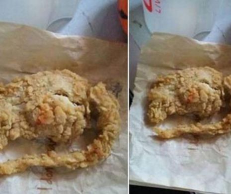 „ŞOBOLANUL” de la KFC care a ÎNGROZIZ o lume întreagă. Ce lucru SCÂRBOS a găsit un client în mâncare