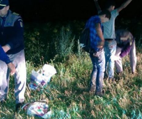 12 transfugi irakieni şi trei călăuze bulgare, reţinuţi de poliţiştii de frontieră constănţeni