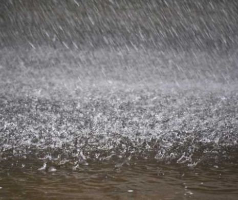 Cod Portocaliu de ploi şi vijelii