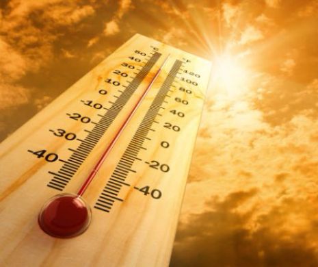 Fara stres termic pentru animale!