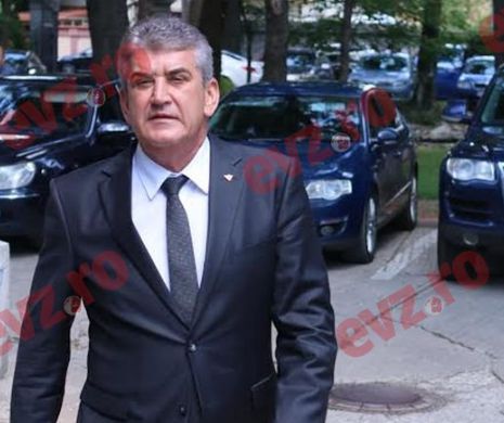 Gabriel Oprea: UNPR are două variante pentru viitoarele alegeri, în alianţă cu PSD sau singuri