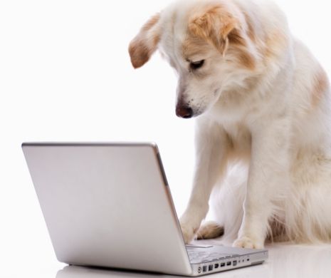 Ghidul care te scapă de orice neplăcere. Află cum îţi protejezi datele PERSONALE de pe PC-uri sau LAPTOP-uri