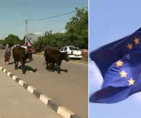 Imaginile anului din cea mai nebuna comuna din Romania! Nimeni nu isi putea imagina ce se ascunde aici