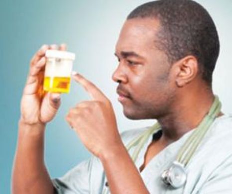 Leguma excelentă din punct de vedere TERAPEUTIC