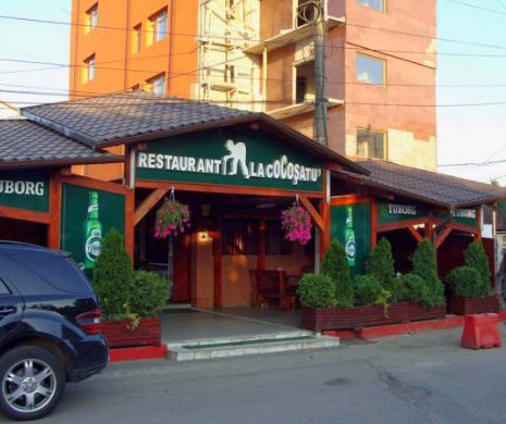 Lovit de blestem! Cum arata mostenitorul afacerii "Cocosatu", la patru ani dupa ce tatal lui a murit