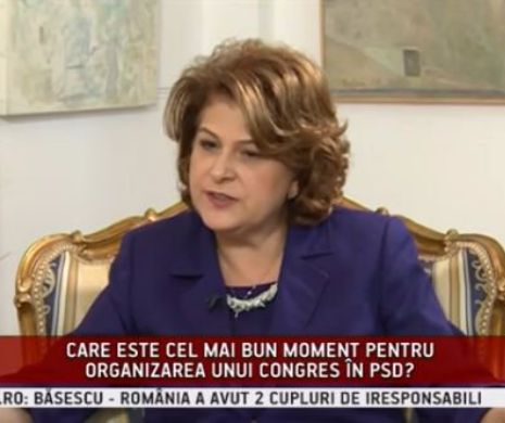 LUMINI ŞI UMBRE. Rovana Plumb: De la începutul anului 2016 intrăm în precampanie