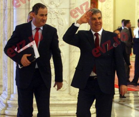 Zgonea, despre sesizarea liberalilor la CCR:  Este doar o încercare disperată de a crea false subiecte