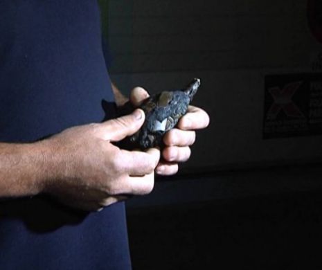A crezut că a dat peste o grenadă şi a leşinat de frică.  Povestea tânărului căutător de scoici care a băgat groaza în angajaţii spitalului judeţean din Galaţi | GALERIE FOTO