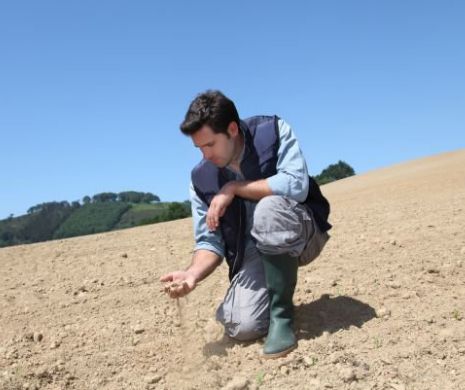 Anul agricol viitor, deja compromis? Despăgubirile pentru secetă pot veni prea târziu