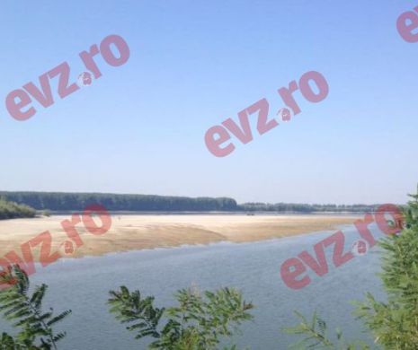 Canicula a scăzut debitul Dunării cu o treime!