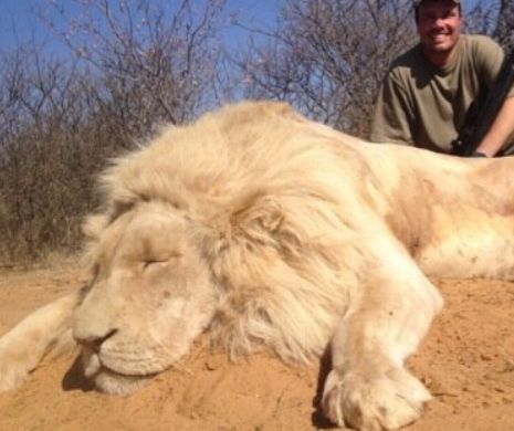 Copii fotografiaţi alături de leii din Africa  | FOTO