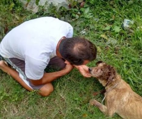 Cu ce ar putea fi înlocuiți câinii în operațiunile de salvare