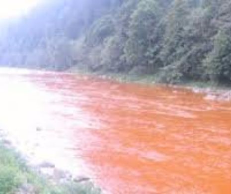 Otrăvirea râurilor, varianta britanică. 75% din râurile din UK sunt, ecologic, catastrofale