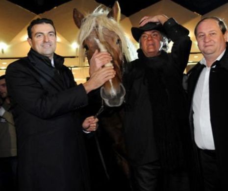 Florin Piersic se roagă de Emil Boc să-i dea înapoi cafeneaua „La Mărgelatu”