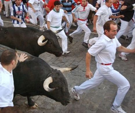 Incident TERIRIFIANT. Un bărbat a fost UCIS de un taur