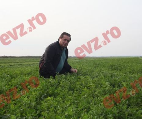 Ioan Niculae a scris în pușcărie două cărți în patru luni
