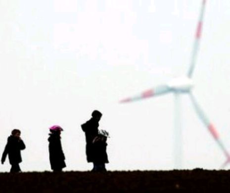 Marea CACEALMA a Energiei Verzi. Germanii plătesc scump!