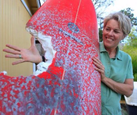 MOMENTE de COŞMAR: Un surfer din California a scăpat de moarte după ce un rechin i-a muscat placa