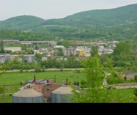 Ori sunt prea şcoliţi, ori nu ştiu nicio meserie