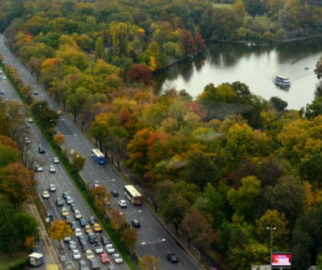 Peste 100 de voluntari susțin București 2021! Caută Caravana București 2021, în week-end, la festivalurile din oraș