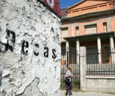 Război între clanurile de rromi din orașul în care aceștia trăiesc în vile precum catedralele