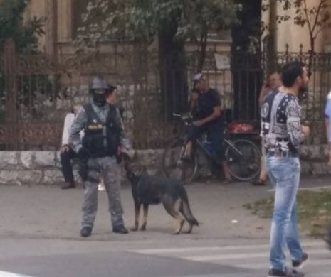 Scandal monstru între  cele mai bogate CLANURI DE RROMI din Timișoara, Cârpaci și Stancu I VIDEO