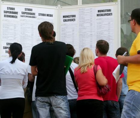 Studiu amplu pe piaţa muncii: Jumătate dintre companii vor să facă angajări în următoarea perioadă!