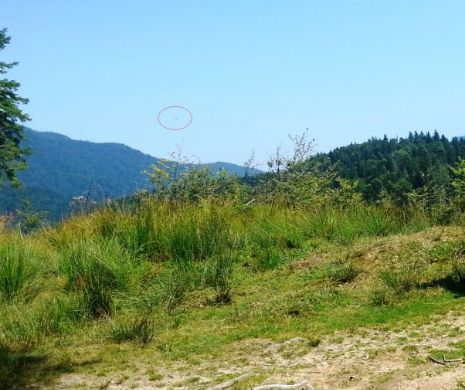 Unul dintre moții salvatori din Apuseni nu crede că planoristul mai este în viață. Argentin Todea: „Dacă a fost rănit, lupii l-au mâncat!”