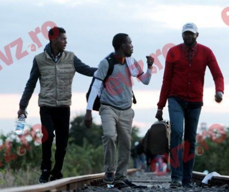 AU VENIT. Primii imigranți care nu au mai putut trece spre Germania de gardul ungurilor, au intrat în România