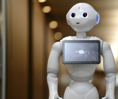 Bărbat arestat pentru că a hărţuit un roboţel emoţional