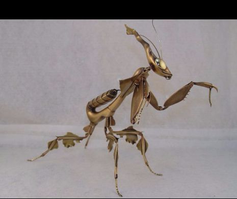 Bizara insecta „Calugarita fantoma”