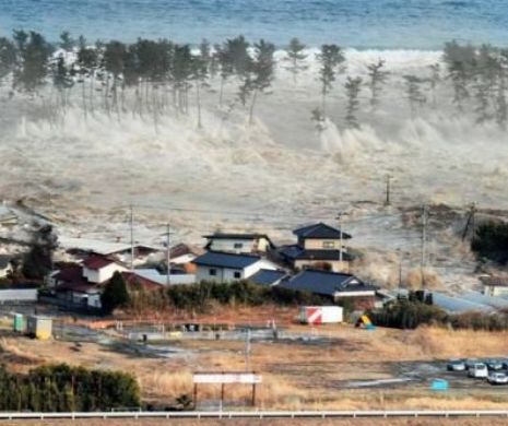 Cutremur de 8,3 grade pe scara Richter în Chile. S-a emis alertă de TSUNAMI. Peste 1 miilion de oameni au fost EVACUAŢI | VIDEO