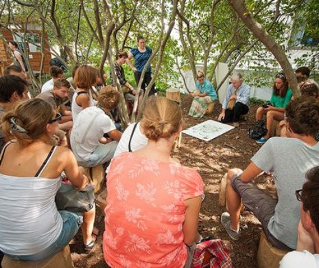 Franța va avea grădini de legume îngrijite de elevi