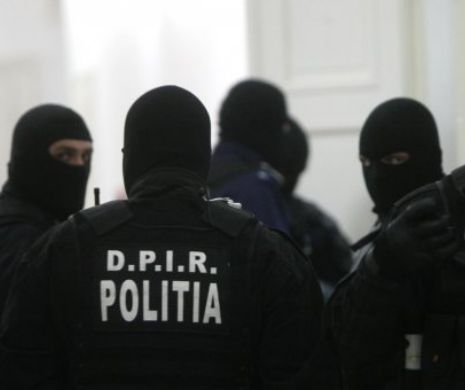 Gorj: Percheziţii la mai multe firme suspectate de exploatarea ilegală a lemnului