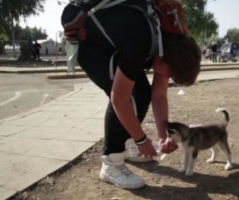 Imigrantul care nu si-a abandonat cainele!