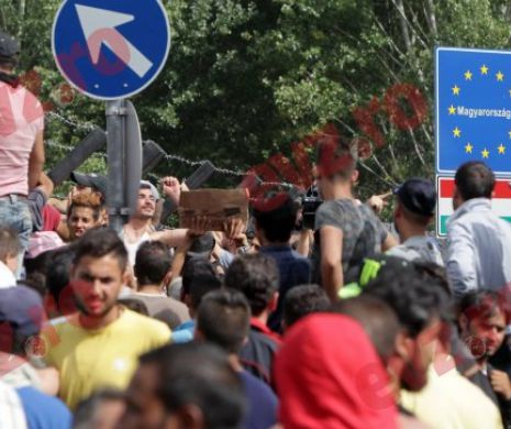 INVAZIA musulmană ar putea aduce o epidemie de POLIOMELITĂ la copiii români